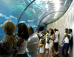 Aquarium de Barcelona